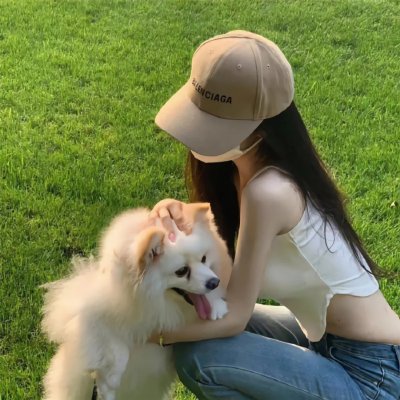 森林之北